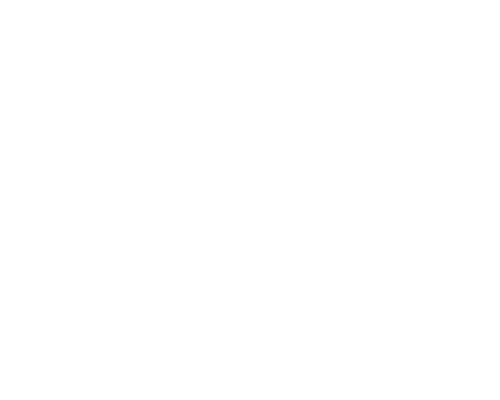 compressport 